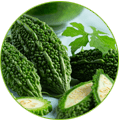 Karela