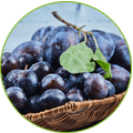 Jamun